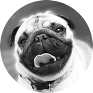 spanky